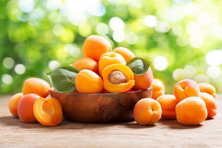 Illustrative image of the article Apricot: 8 Health Benefits, Nutrition, Properties & Jam Recipe