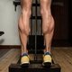 Treino de perna: 8 exercícios para coxa, posterior e panturrilha