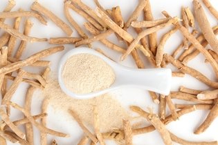 Illustrative image of the article Ashwagandha: Benefits, How to Use & Side Effects