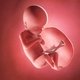 18 Semanas de embarazo: desarrollo del bebé y cambios en la mujer