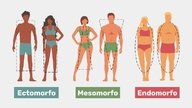 Biotipo corporal: o que é, tipos e como identificar
