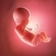 19 Semanas de embarazo: desarrollo del bebé y cambios en la mujer