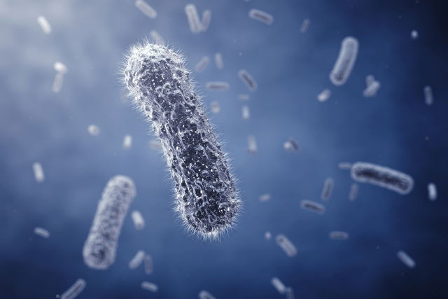  便に粘液が混じる。 考えられる7つの原因と対処法