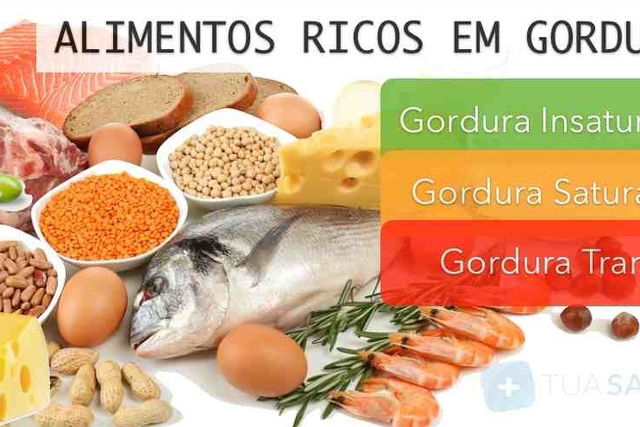 Tipos De Gordura E Fontes Na Alimentação Tua Saúde 7973