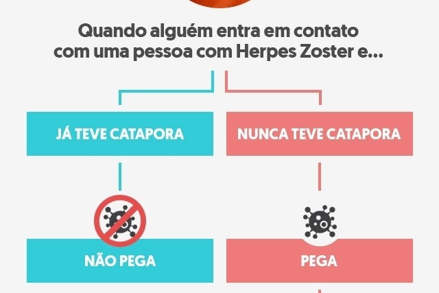 Cobreiro: o que é, sintomas, causas e tratamento - Tua Saúde