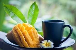 Imagen ilustrativa del artículo Hoja de mango: para qué sirve y cómo hacer el té