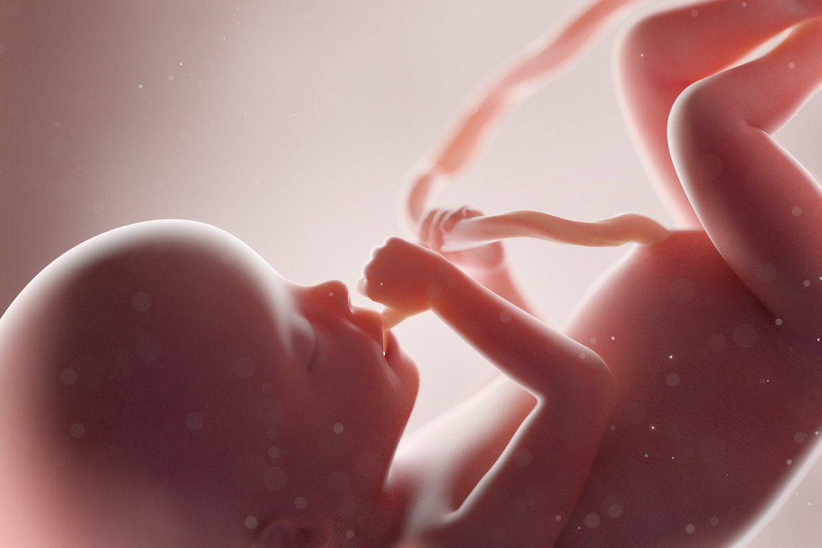 41 Semanas De Embarazo Desarrollo Del Bebé Y Cambios En La Mujer Tua Saúde 