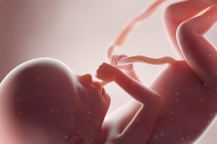 Imagen ilustrativa del artículo 41 semanas de embarazo: desarrollo del bebé y cambios en la mujer