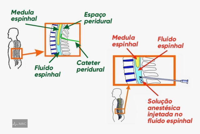 Imagem ilustrativa número 3