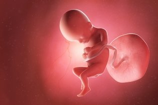 Imagen ilustrativa del artículo 17 semanas de embarazo: desarrollo del bebé y cambios en la mujer 