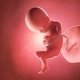17 semanas de embarazo: desarrollo del bebé y cambios en la mujer 