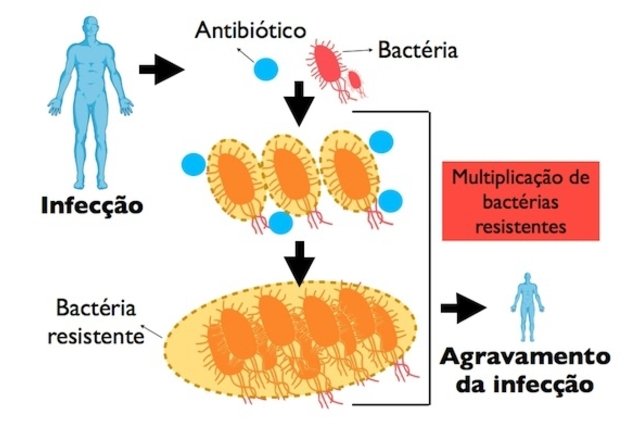 Resistência Bacteriana O Que é Porque Acontece E Como Evitar Tua Saúde