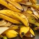8 benefícios da casca de banana e como usar (com receitas)