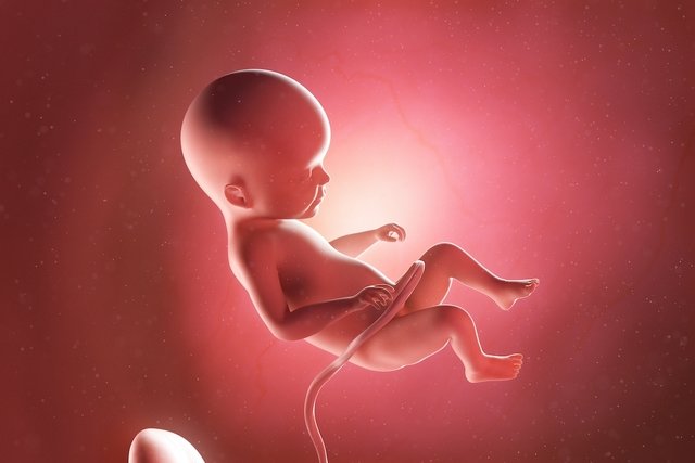 Imagem ilustrativa do artigo Desenvolvimento do bebê - 22 semanas de gestação