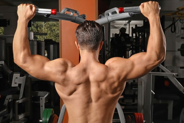 Back Workout: Top 12 Exercises For a Strong Back - Tua Saúde