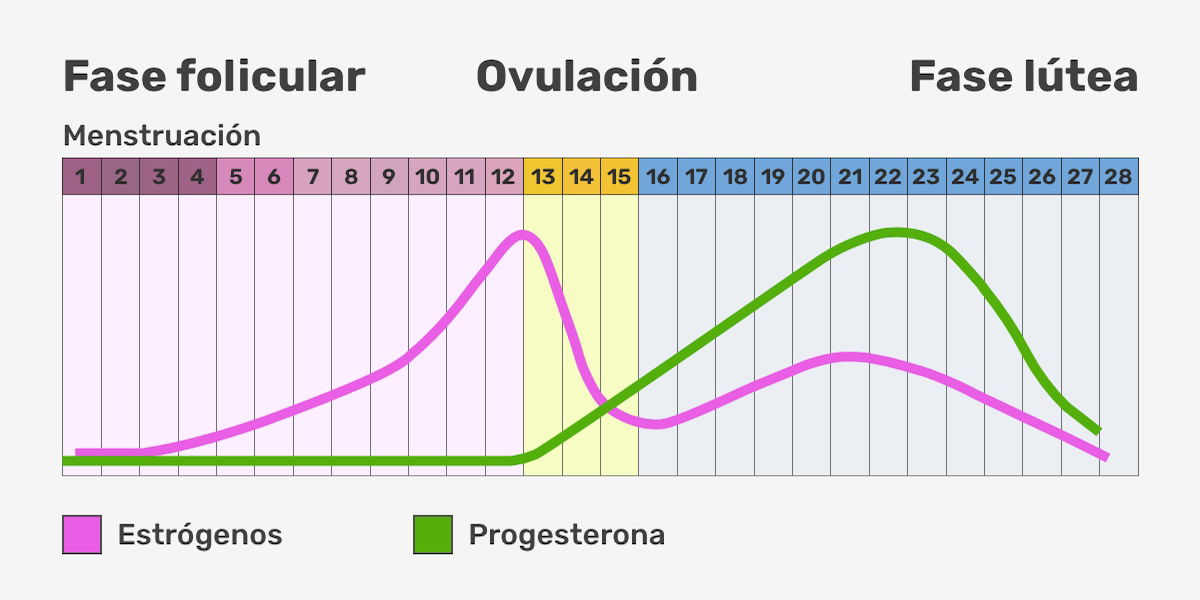 Imagem ilustrativa número 2