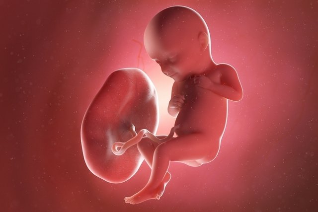 Imagen ilustrativa del artículo 32 semanas de embarazo: desarrollo del bebé y cambios en la mujer
