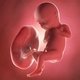 32 Semanas de embarazo: desarrollo del bebé y cambios en la mujer