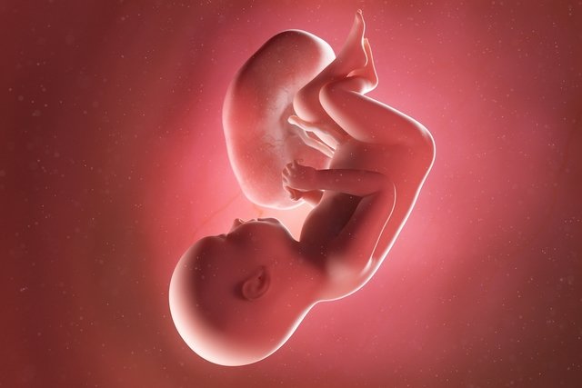 Imagem ilustrativa do artigo Desenvolvimento do bebê - 37 semanas de gestação