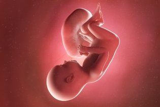 Desenvolvimento do bebê - 37 semanas de gestação