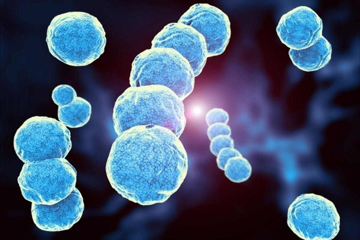Streptococcus Agalactiae Principales Síntomas Y Cómo Tratar Tua Saúde 9373