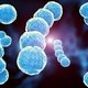 Streptococcus agalactiae: o que é, sintomas e tratamento
