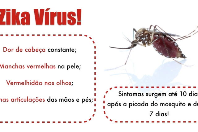 Diagn Stico Da Zika Que Exames S O Recomendados Fazer Tua Sa De