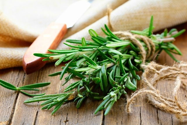 Rosemary tea: 9 Health benefita that make it a morning elixir