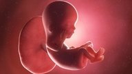 Desenvolvimento do bebê - 12 semanas de gestação