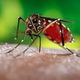 Tratamento da dengue (clássica e hemorrágica)