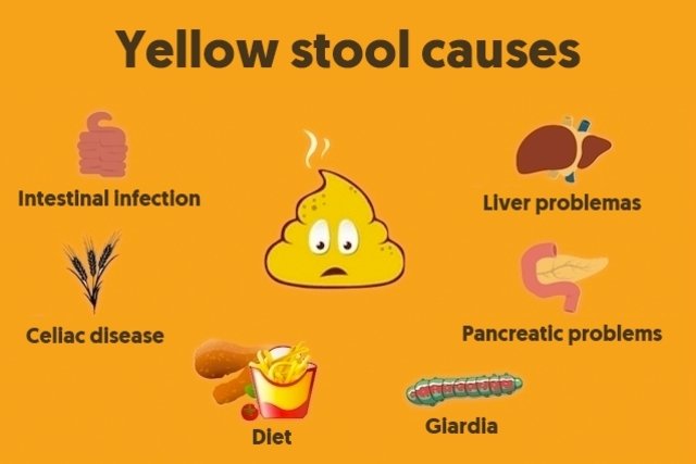 yellow liquid diarrhea giardia