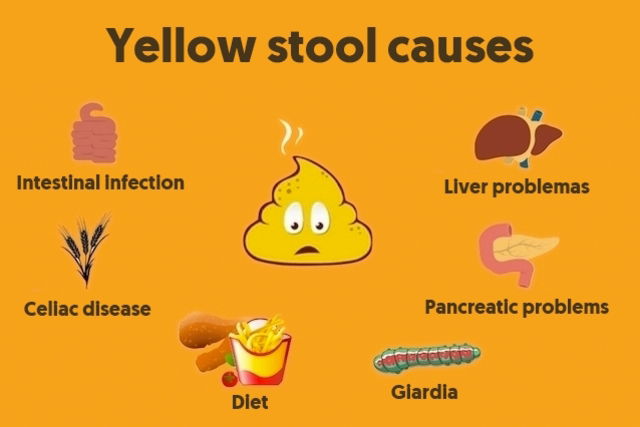 mucus in human feces