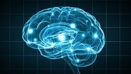 7 curiosidades sobre o cérebro humano