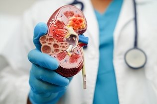 Illustrative image of the article 11 Symptoms of a Kidney Problem (with online quiz)