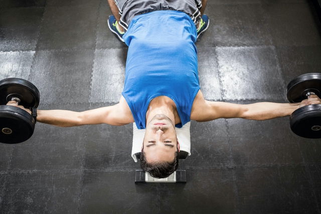 O supino reto com halter é um dos principais exercícios para o peitora