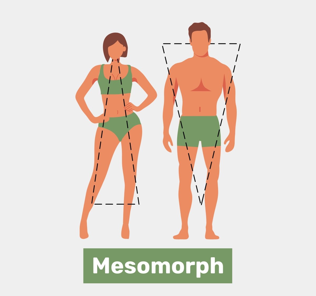 Mesomorph Body Type: Characteristics & Diet Plans