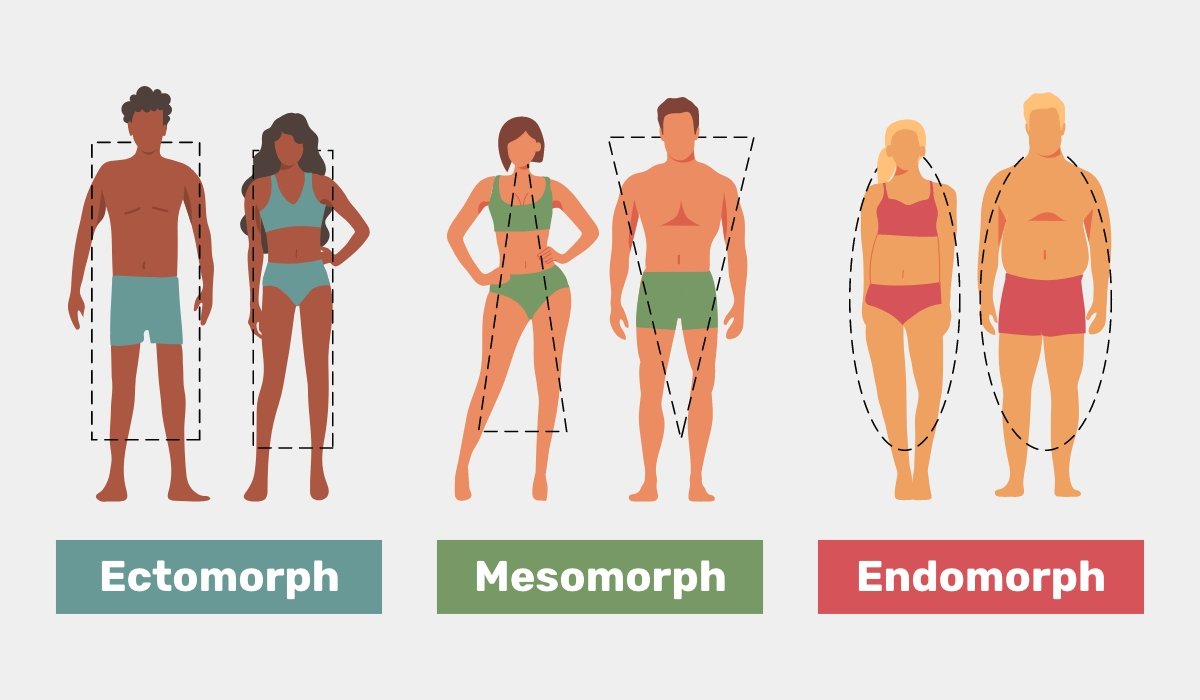 Body Types: Are You an Ectomorph, Mesomorph, Or Endomorph?  