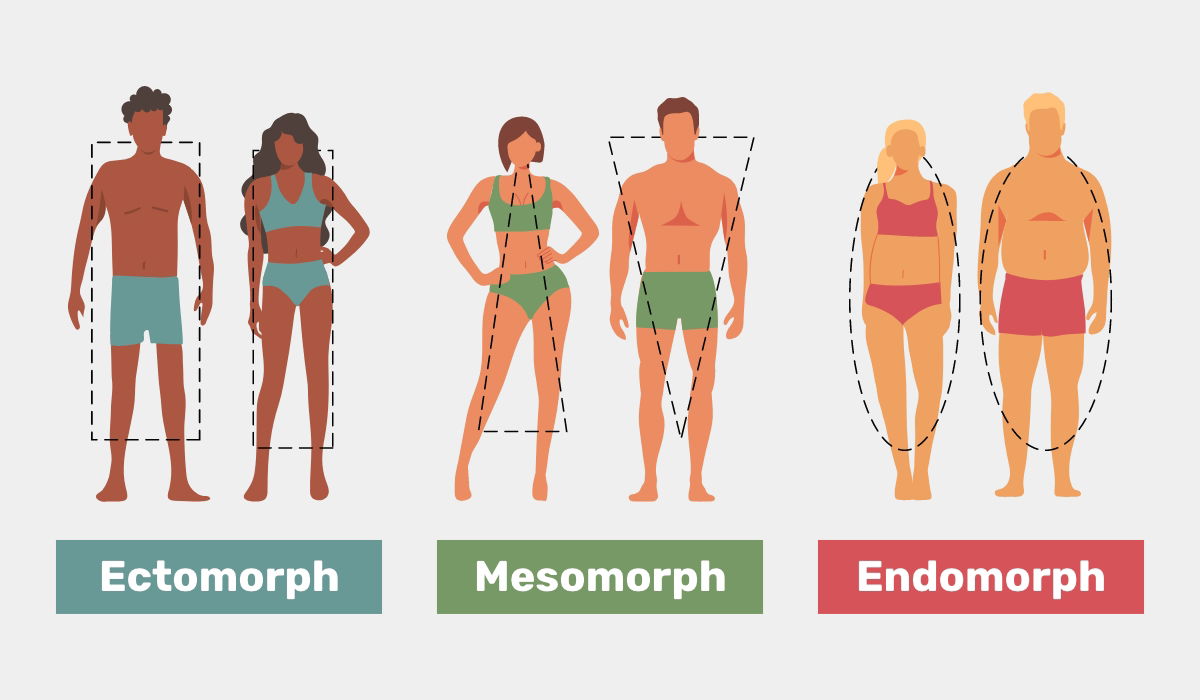 The Male Body Types: Ectomorph, Endomorph, Mesomorph