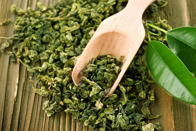 Diuretic effects of green tea