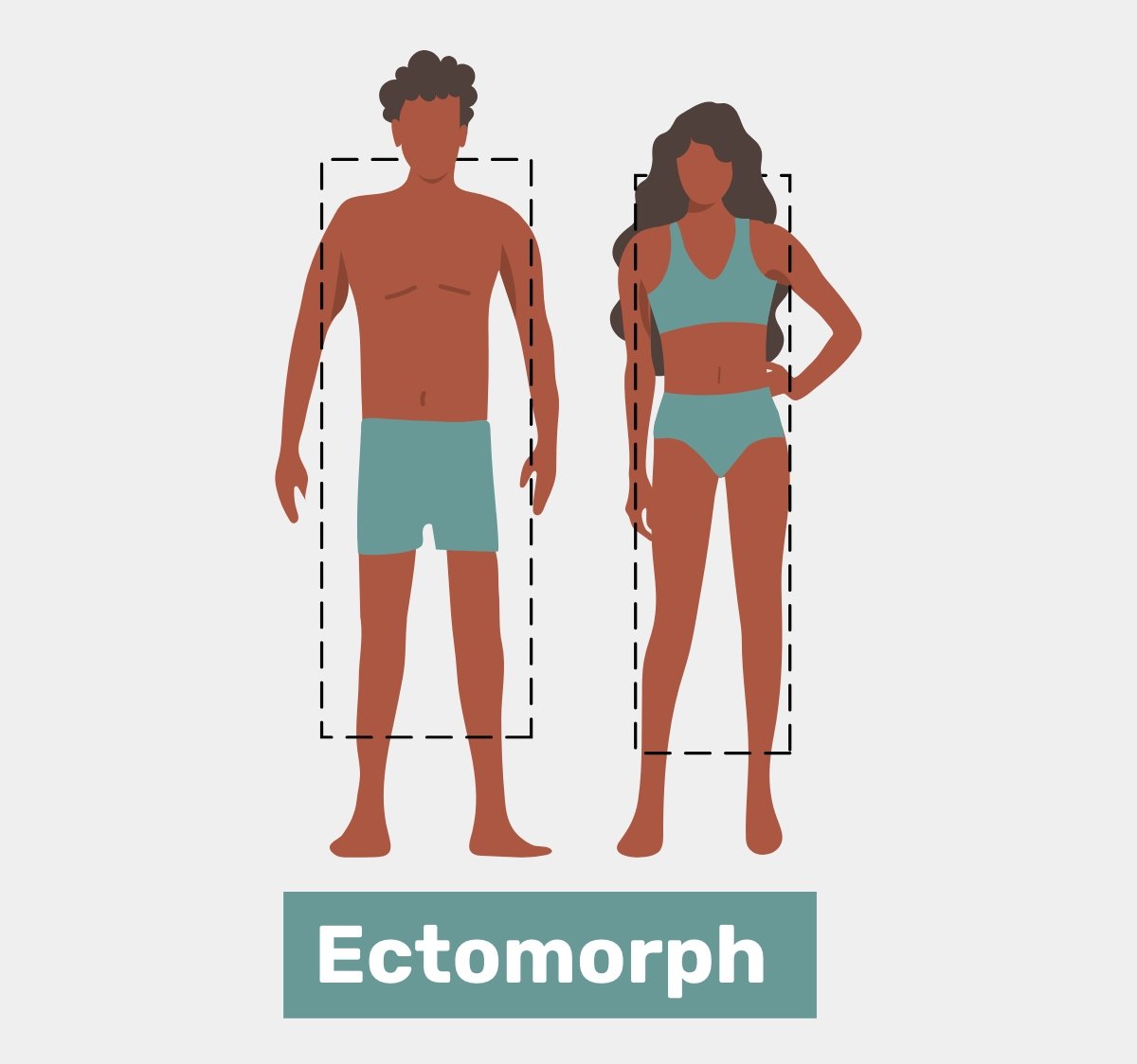 Ectomorph Body Type: Characteristics & Diet Plans