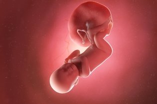 Imagen ilustrativa del artículo 40 semanas de embarazo: desarrollo del bebé y cambios en la mujer