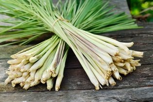 Lemon Grass: 11 Health Benefits, How to Use & Side Effects