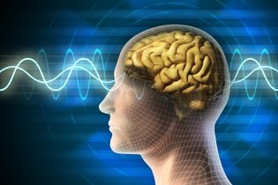 Estimulantes cerebrais para aumentar a concentração e memória