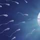 Conception Date Calculator: Find Out When You Got Pregnant