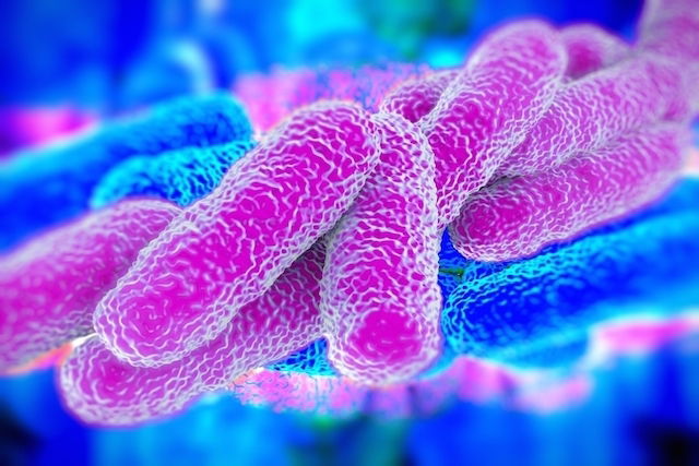 Superbacterias Qué Son Tipos Y Tratamiento Telegraph 3051