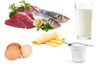 Alimentos ricos em Valina