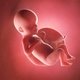 26 Semanas de embarazo: desarrollo del bebé y cambios en la mujer