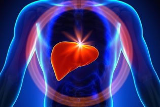 Imagem ilustrativa do artigo Tipos de hepatite: sintomas, transmissão e o que fazer