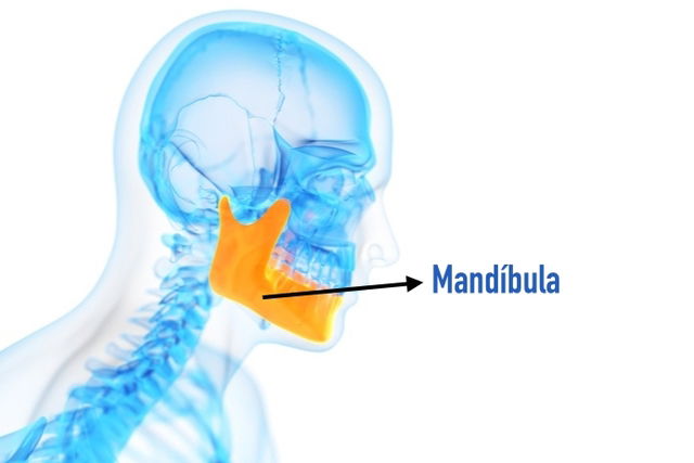 Thyreos - O câncer de mandíbula, é um tipo raro de tumor que se