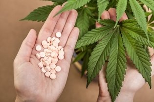 Imagen ilustrativa del artículo ¿Qué medicamentos no se deben combinar con marihuana?